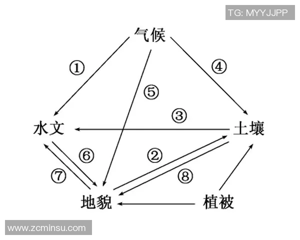 重庆乒乓球队的战术创新与转换体系解析及其对比赛的影响 重庆乒乓球队的战术创新与转换体系解析及其对比赛的影响