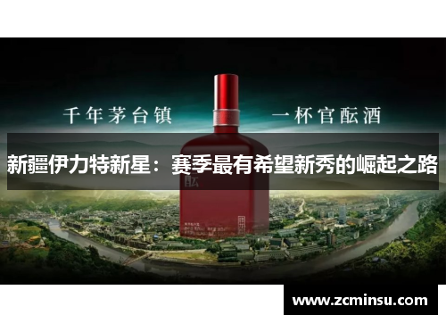 新疆伊力特新星：赛季最有希望新秀的崛起之路