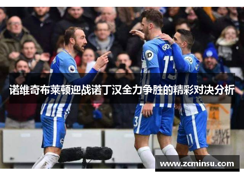 诺维奇布莱顿迎战诺丁汉全力争胜的精彩对决分析